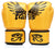 Gants de Muay Thai Fairtex BGV1 Falcon Golden