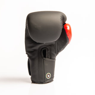 Guantoni boxe SAP Italy-Combat Arena