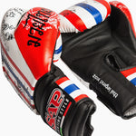 Guantoni boxe SAP Legend-Combat Arena