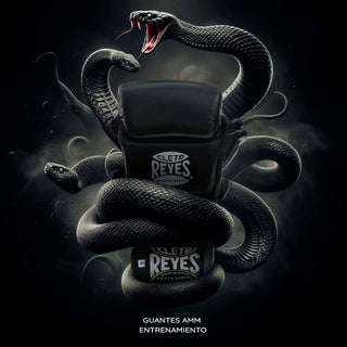 Gants MMA Cleto Reyes Entraînement de Black Mamba