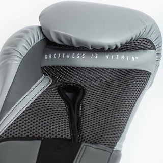 Guantoni Everlast Elite Pro Style-Combat Arena