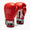 Gants de boxe Leone Iconic GN208