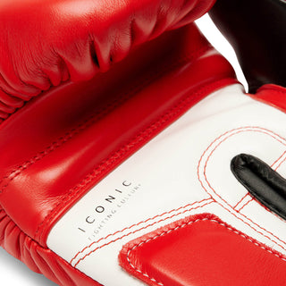 Gants de boxe Leone Iconic GN208