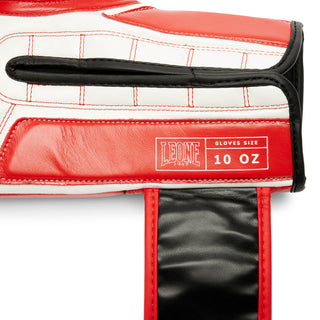 Gants de boxe Leone Iconic GN208