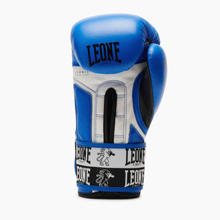 Gants de boxe Leone Iconic GN208