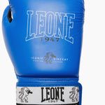 Gants de boxe Leone Iconic GN208