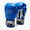 Gants de boxe Leone Iconic GN208