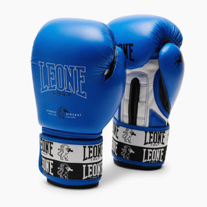 Gants de boxe Leone Iconic GN208