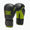 Gants de boxe Leone Waves GN313