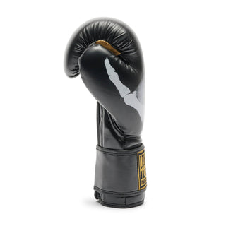 Gants de boxe Leone Iuter GN01IU