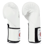 Gants de Muay Thai Fairtex BGV5 Super Sparring Blanc