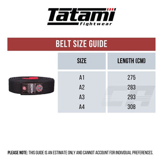 Ceinture BJJ Tatami